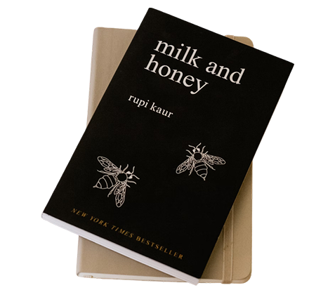 Professional book writing manuscript development